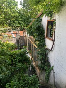 Vu du jardin lors de la rénovation d'une maison à Paris 75019